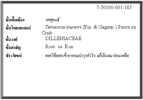 กล่องข้อความ: 7-50100-001-183 ชื่อพื้นเมือง : รสสุคนธ์ ชื่อวิทยาศาสตร์ : Tetracera loureiri (Fin. & Gagnep.) Pierre ex Craib ชื่อวงศ์ : DILLENIACEAE ชื่อสามัญ : Rose su Kon ประโยชน์ : ดอกใช้ดอกเข้ายาหอมบำรุงหัวใจ แก้เป็นลม อ่อนเพลีย